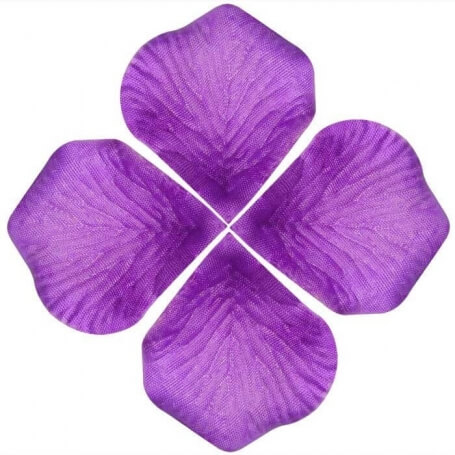 Petales De Roses Violet