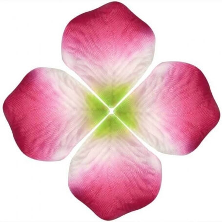 Petales Fleurs