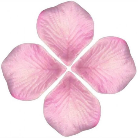 Petales De Fleurs Roses