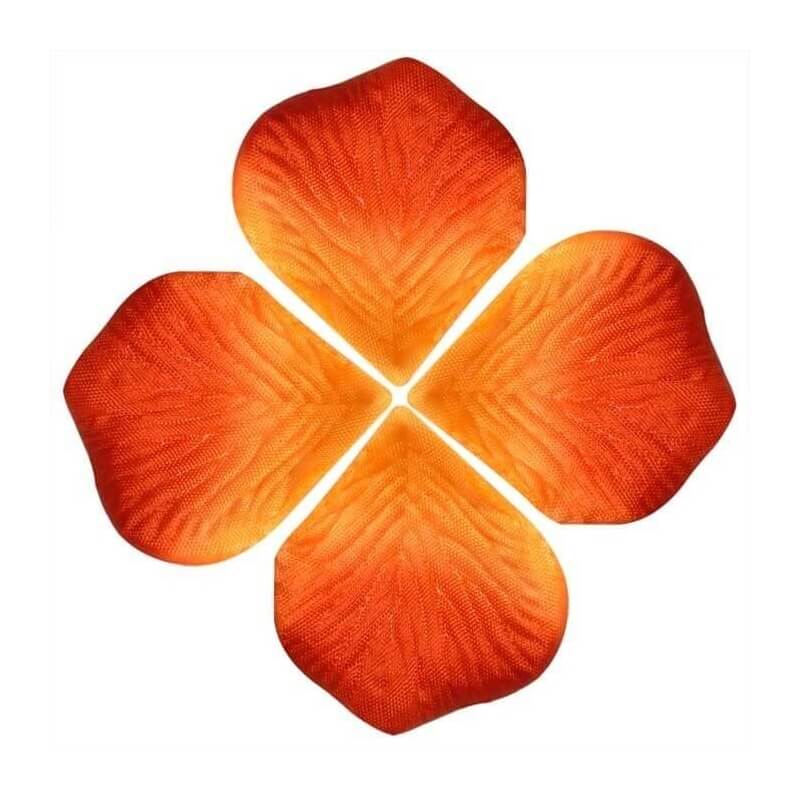 Petales de Roses Orange Petales de Roses Orange