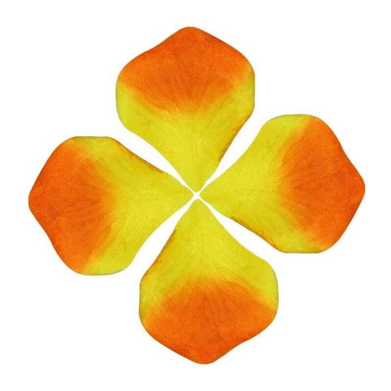 Pétales de couleurs