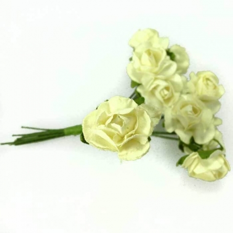 Fleurs pour décoration