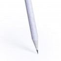 Crayon toundra