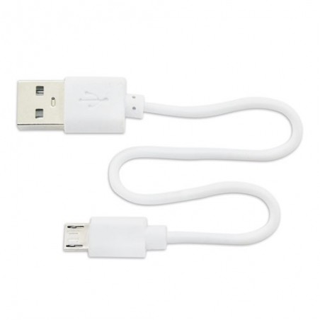 Chargeur ultra-rapide 10W en bambou Menphis