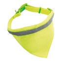 Collier pour chien haute visibilité