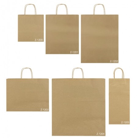 Sac en papier boutique 28x33x10