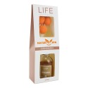 Cadeau ensemble de 6 diffuseurs pom pom