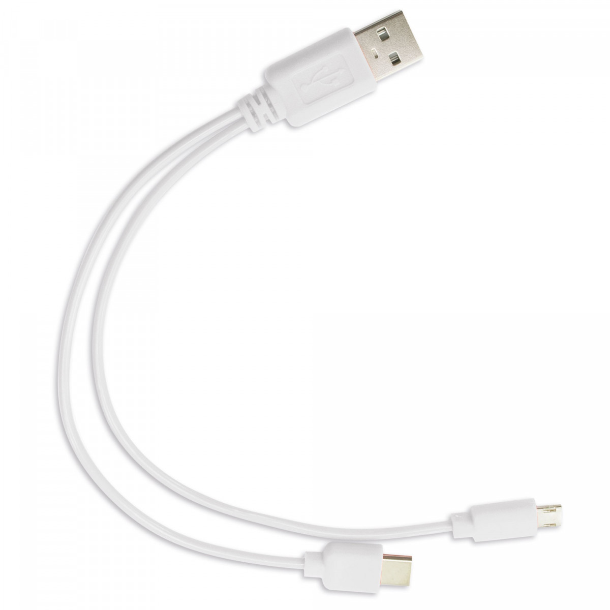 Câble Double USB Un Détail Technologique et Pratique