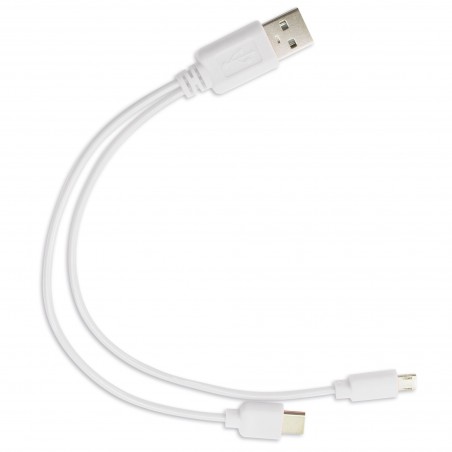 Câble Double USB Un Détail Technologique et Pratique