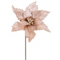 Poinsettia tissu champagne 50 x 30 cm