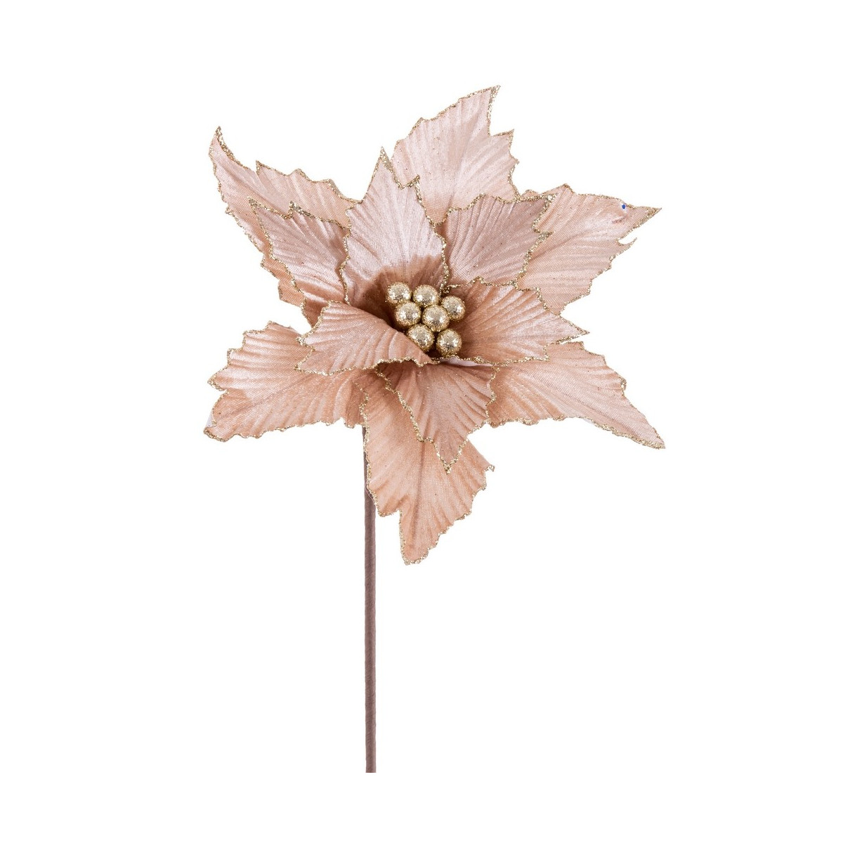 Poinsettia tissu champagne 50 x 30 cm