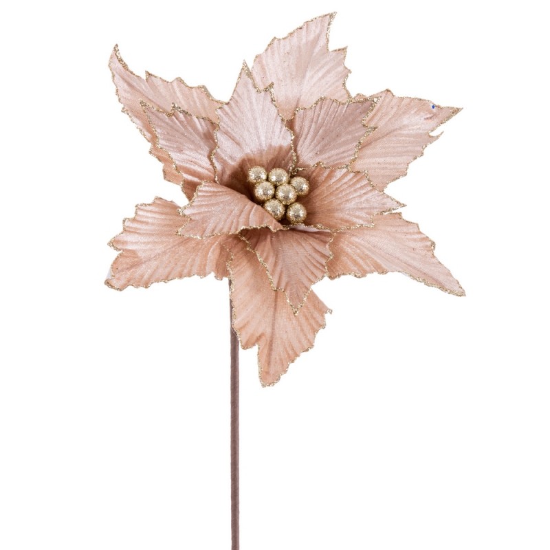 Poinsettia tissu champagne 50 x 30 cm