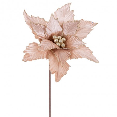Poinsettia tissu champagne 50 x 30 cm