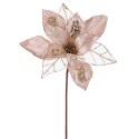 Poinsettia tissu champagne 50 x 30 cm