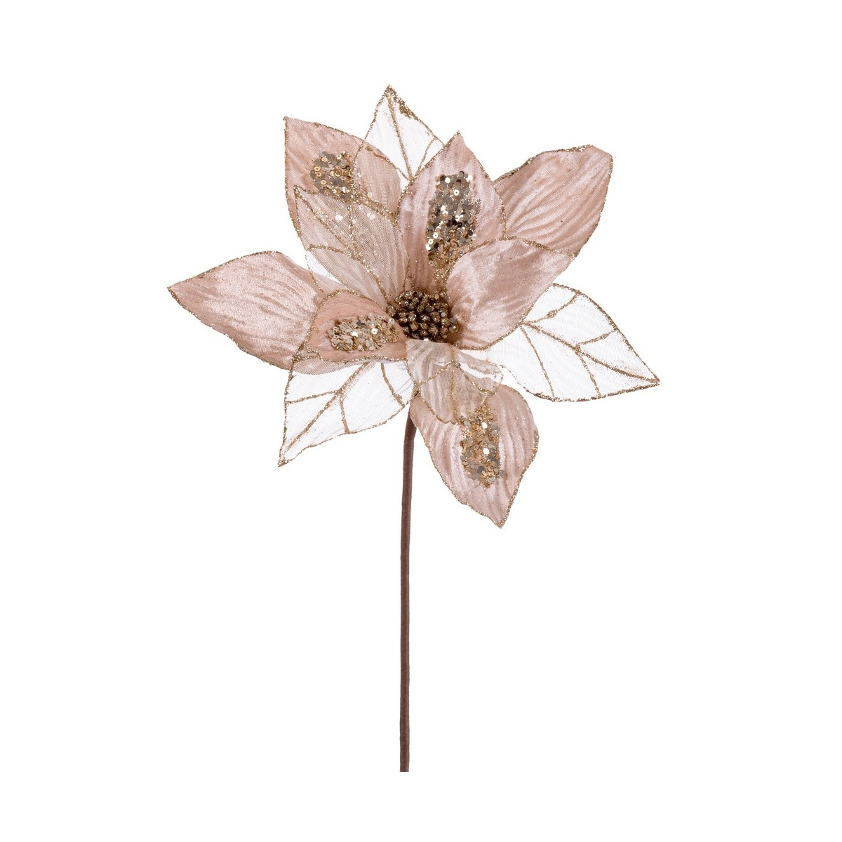Poinsettia tissu champagne 50 x 30 cm
