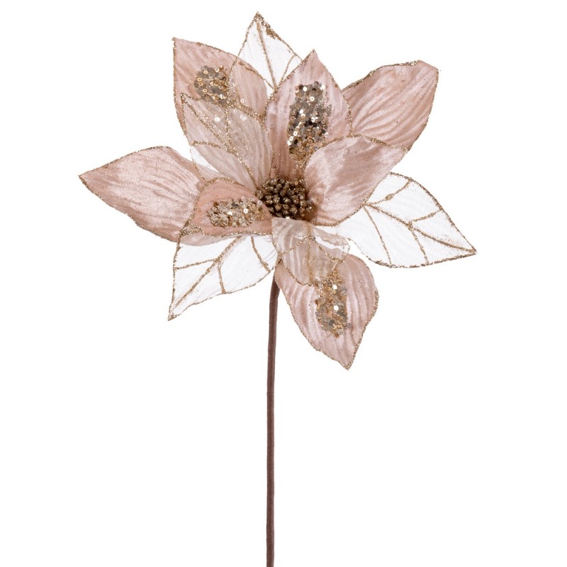 Poinsettia tissu champagne 50 x 30 cm