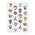 Lot de 20 mini disques paw patrol