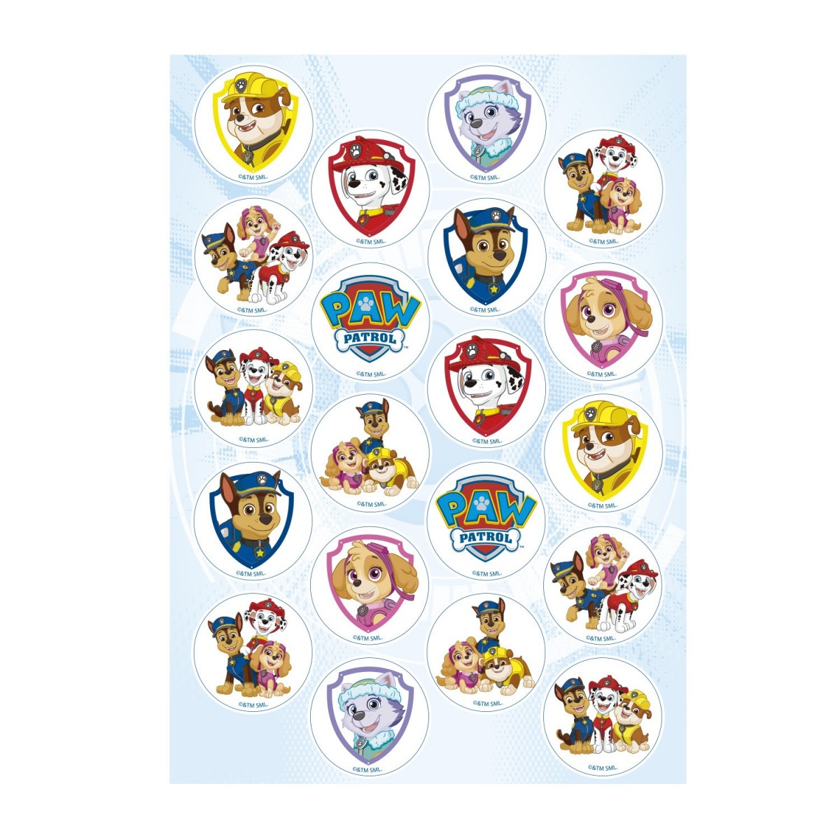 Lot de 20 mini disques paw patrol