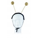 Bandeau insecte rod