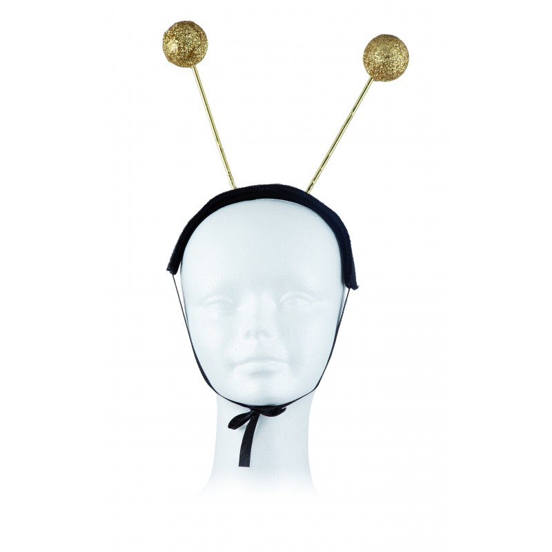 Bandeau insecte rod