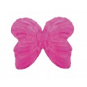 Ailes de papillon