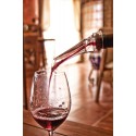 Décanteur de vin pour bouteille ajustable