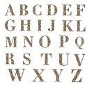 Modèle de lettre pour personnalisation sur textiles