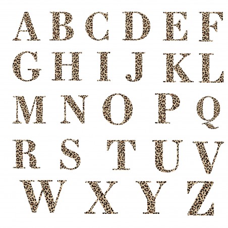 Modèle de lettre pour personnalisation sur textiles