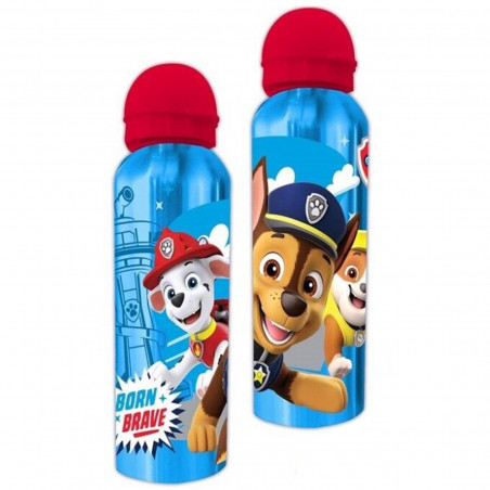 Bouteille en métal pour enfants paw patrol