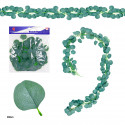 Feuille décorative de canne d'eucalyptus