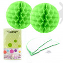 Boule abeille 2u.30cm verte