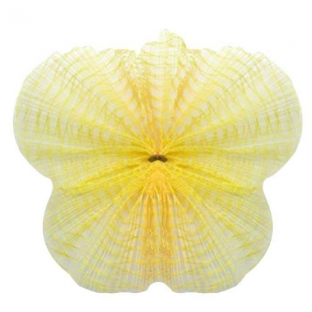 Filet tulle jaune