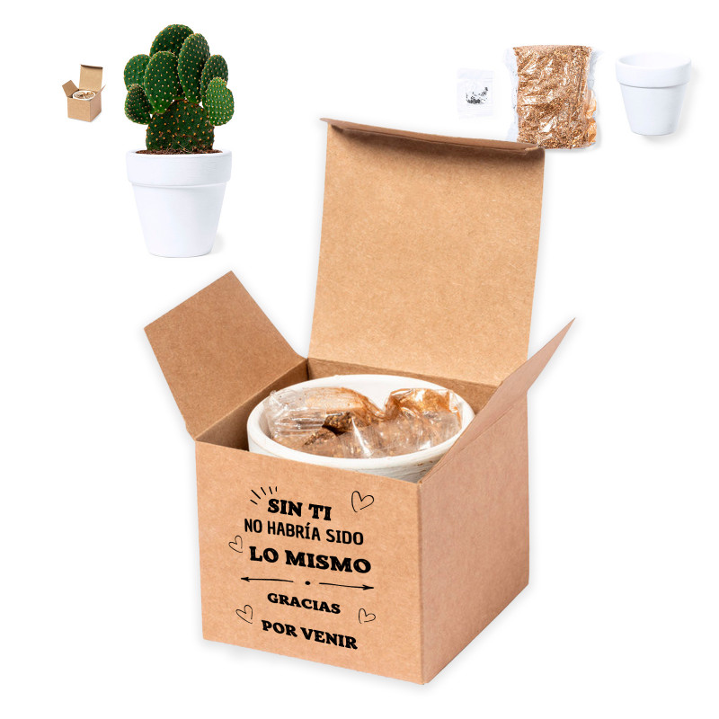 Pot en terre cuite avec des graines de cactus dans une boîte personnalisée pour des cadeaux