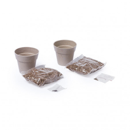 Ensemble de pots nertel