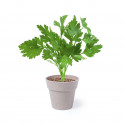 Ensemble de pots nertel