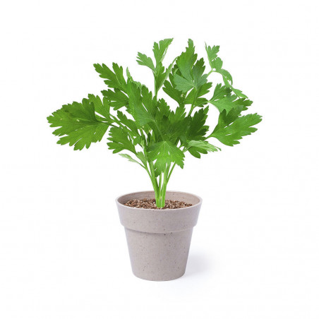 Ensemble de pots nertel