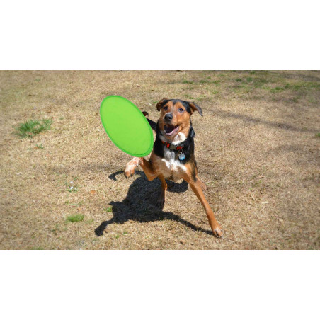 Frisbee en tissu