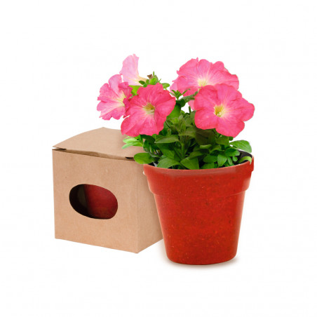 Pots biodégradables