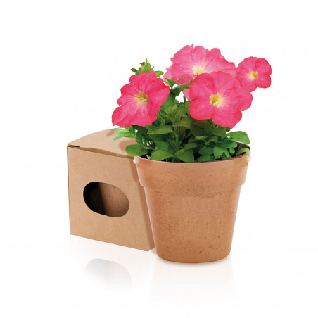 Pots biodégradables