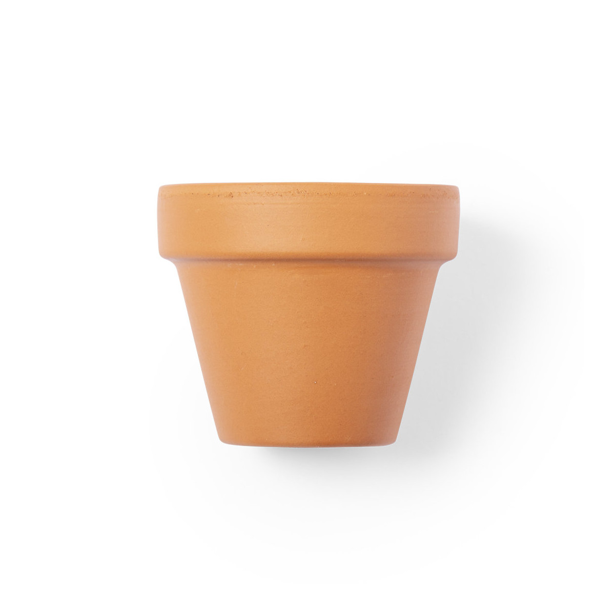 Pot pour planter des pétunias