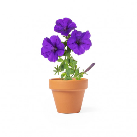 Pot pour planter des pétunias