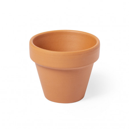 Pot pour planter des pétunias