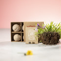 Capsule de graines biyok