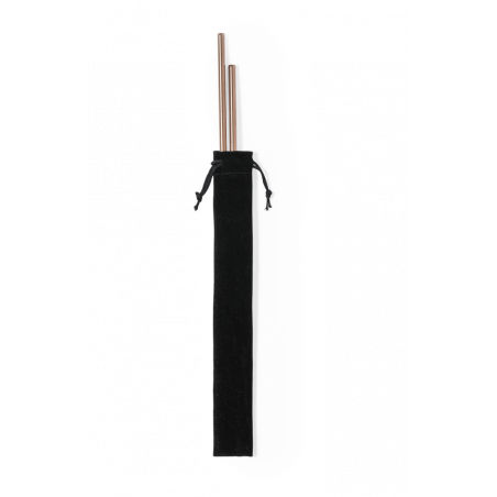 Paille 2 pièces en acier inoxydable