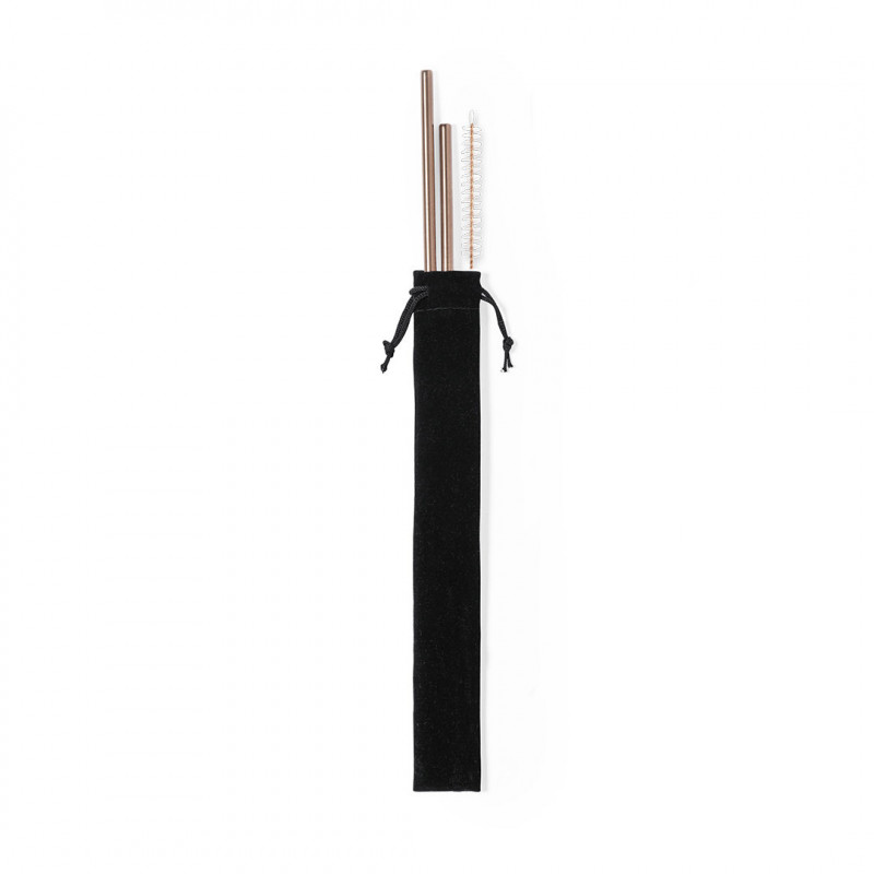 Paille 2 pièces en acier inoxydable