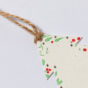 Ornements de Noël avec des graines de pétunia