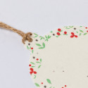 Ornements de Noël avec des graines de pétunia