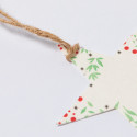 Ornements de Noël avec des graines de pétunia