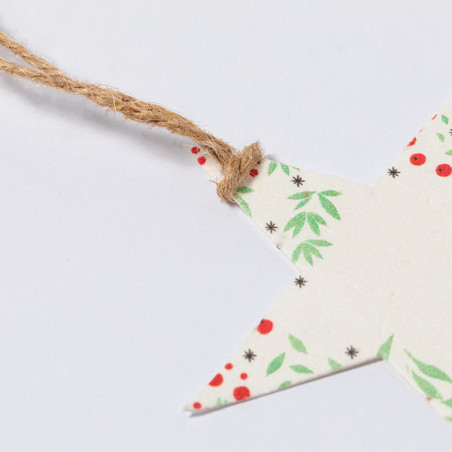 Ornements de Noël avec des graines de pétunia