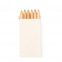 Crayons de couleur avec des graines dans un étui en carton pour dessiner